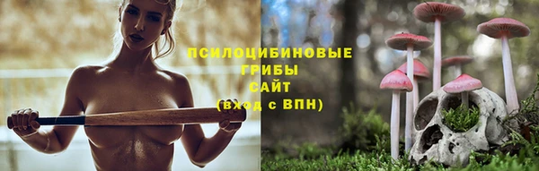 гидропоника Аркадак