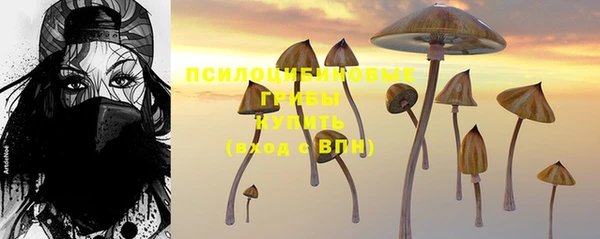 гидропоника Аркадак