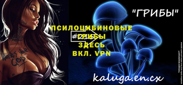 гидропоника Аркадак